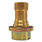 1" Coupler For Steam Brass