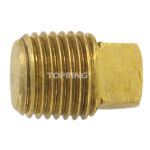 BOUCHON TETE CARREE 1/2 (M)NPT