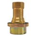 1" Coupler For Steam Brass